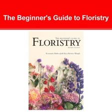 The Beginner's Guide to