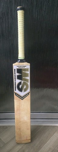 English willow cricket bat - sm,