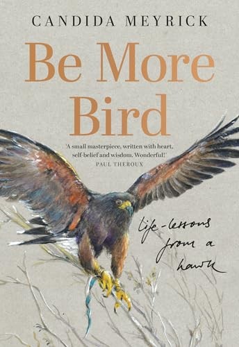 More bird life lessons - more,