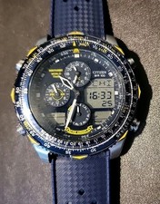 Citizen Blue Angels Watch