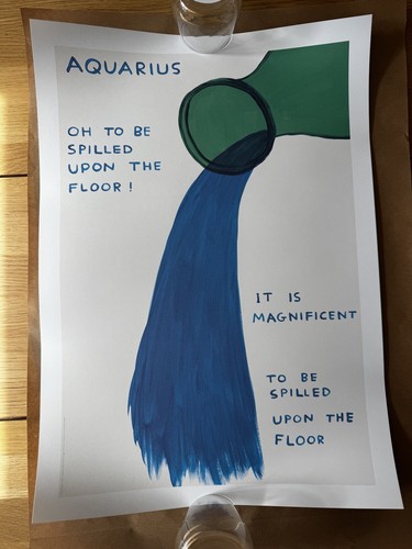 David shrigley aquarius poster - david,