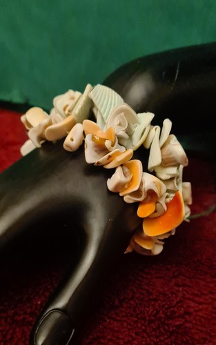 Vintage curled luanos shell - curled,