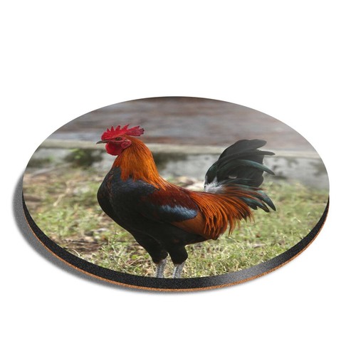 Round mdf coaster - round, island