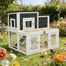 Outdoor Rabbit Hutch for 2-4