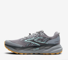 Brooks Cascadia 19 Alloy