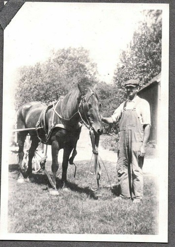 Vintage photograph horse - horse, mens