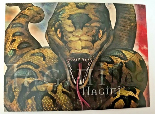 Harry potter postcard the - potter,