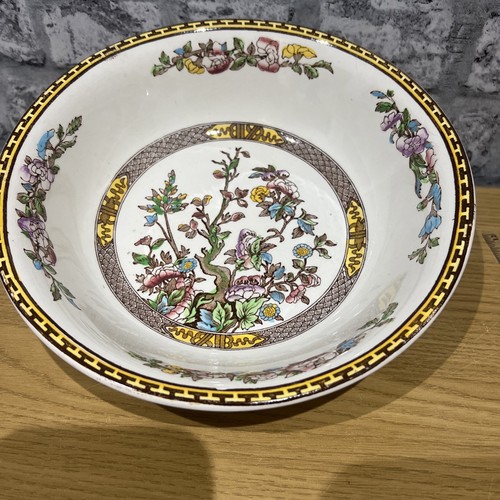 Washington indian tree dish - washington,