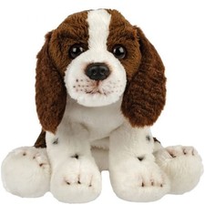 Springer spaniel - Brand New &