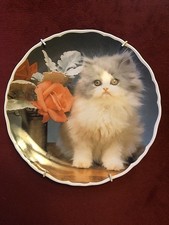 Royal Albert Bone China Plate