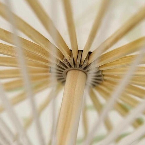 Chinese oiled paper umbrella - paper,