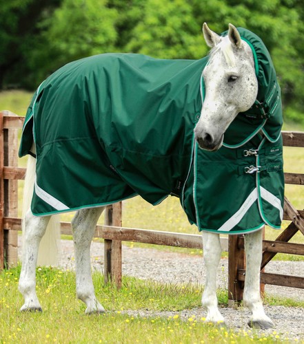 Premier equine buster 200g - premier,