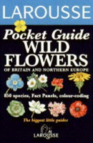 Wild flowers larousse field - wild, (larousse