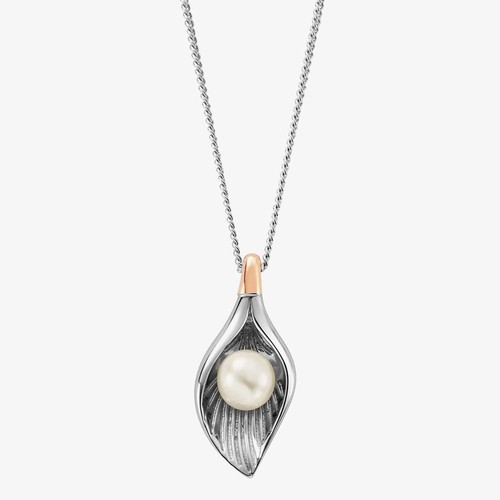 Clogau natures wonder oyster - natures,
