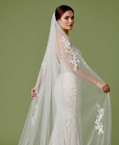 Veil bridal luxury beautiful - veil,