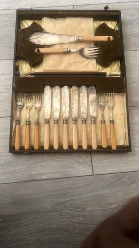 Vintage cased fish cutlery set - vintage,