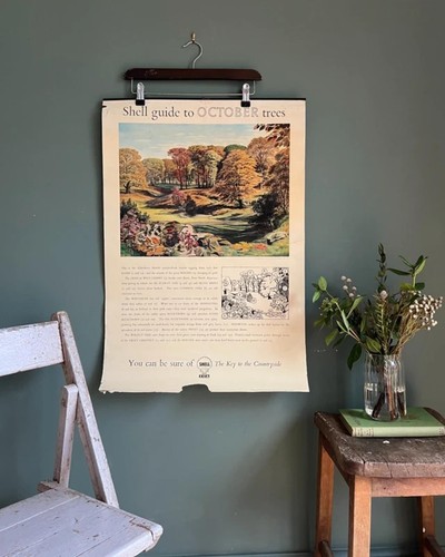 Vintage 1950s shell guide - shell,