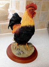 Border Fine Arts Studio Birds