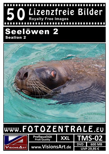 Royalty free professional - 50,