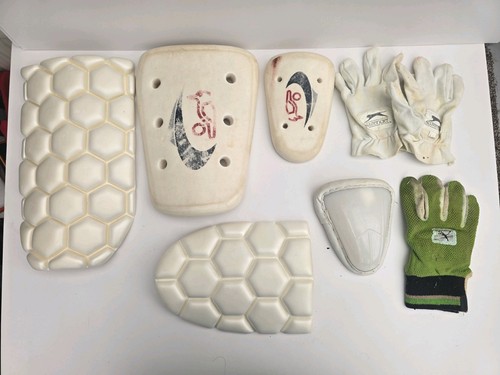 Mixed cricket protection - cricket,