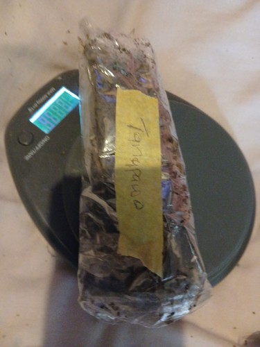 Ewe tannapawo 15g - tannapawo,