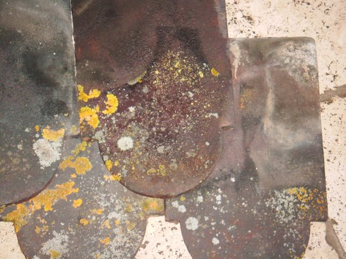 Reclaimed clay club roof - clay,