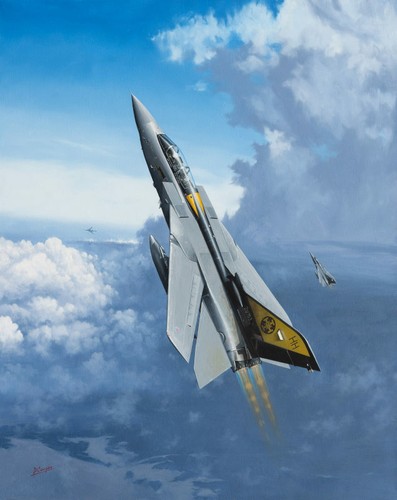 Panavia tornado 111 - panavia,