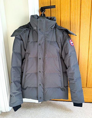 Canada goose arctic program - goose,