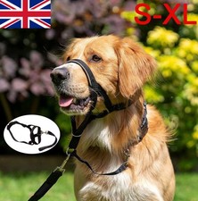 Uk Dog Halter Halti Training