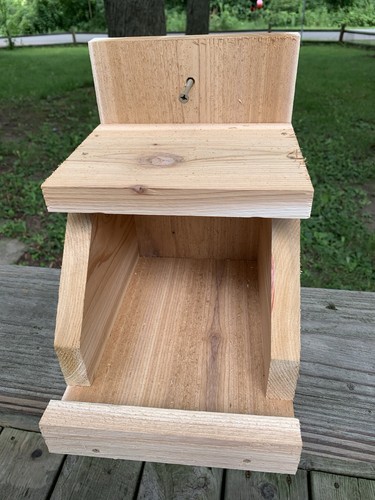 Cedar robin cardinal - robin, dove