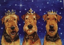 'We 3 Kings' Airedale Terrier
