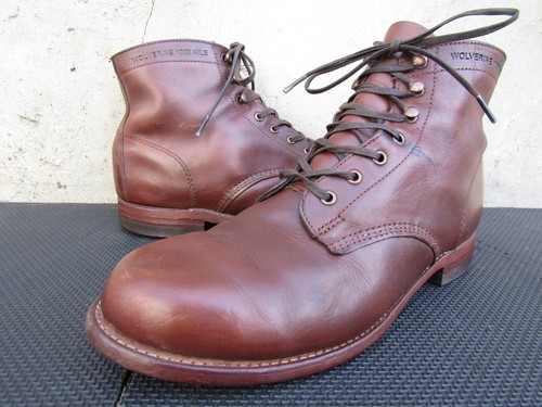 Wolverine 1000 miles - wolverine,