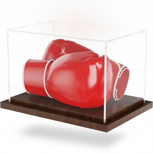 Boxing glove display case - boxing,
