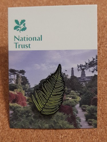 National trust sizergh fern - trust,