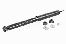 Oil Rear Left Right Shock