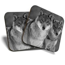 2 x Coasters (BW) - Wild