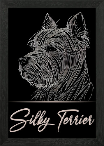 Adorable silky terrier - adorable, framed