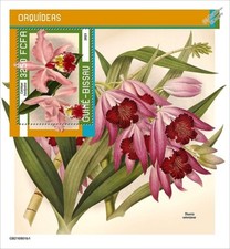 ORCHIDS / Orchid Wild Flowers