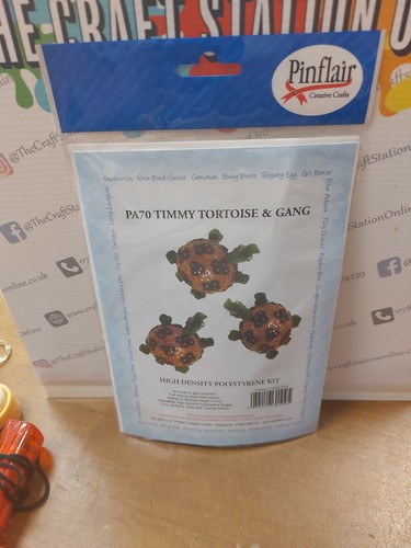 Pinflair timmy tortoise and - timmy,