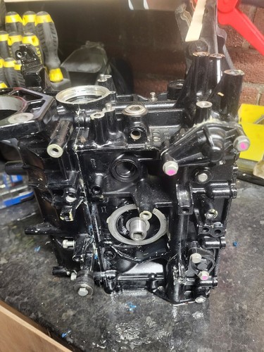 Mariner efi outboard - 25/30, hp
