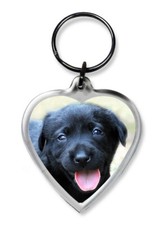 Dog Keyrings - Heart Shape Pug
