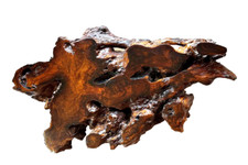 1970's Live Edge Redwood Burl