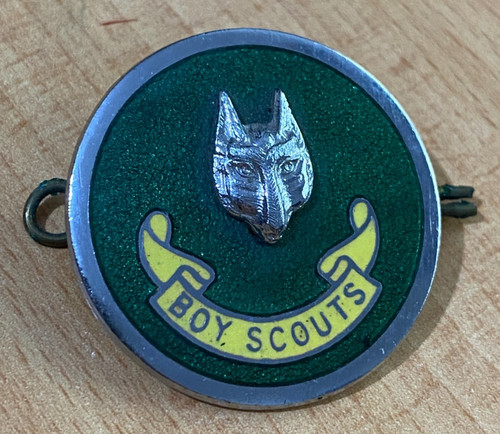 Boy scouts badge - boy,