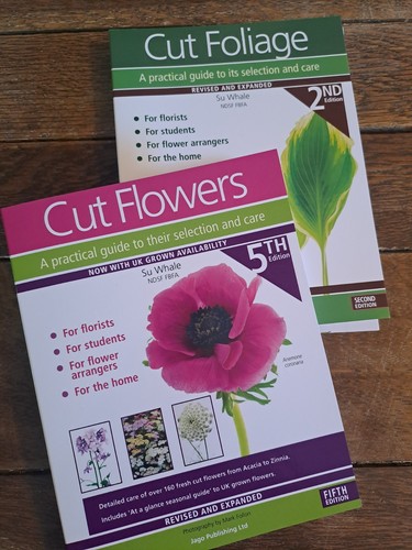 Cut flowers edition and - 5,