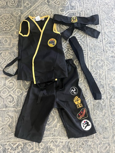 Karate kid cobra - kid,
