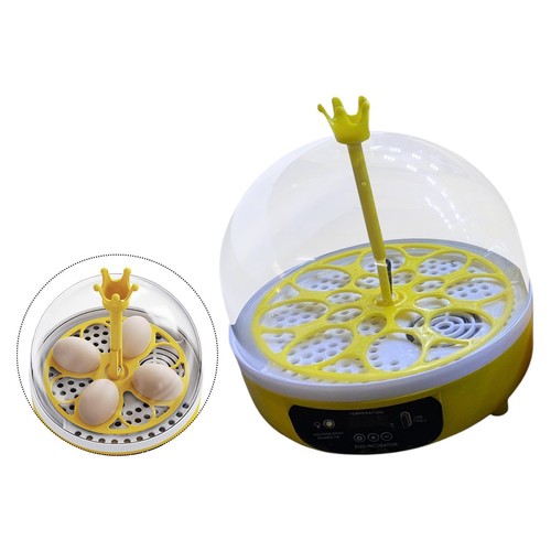 Incubator for hatching eggs - incubator,