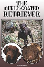 The Curly-Coated Retriever: A