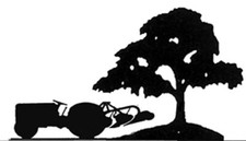 Ferguson TE20 Tractor & Tree