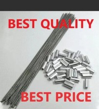 100 ELECTRIC METER SECURITY