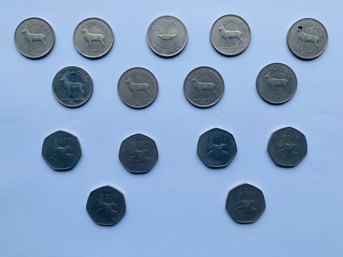 Irish pre euro - pre-euro, £1